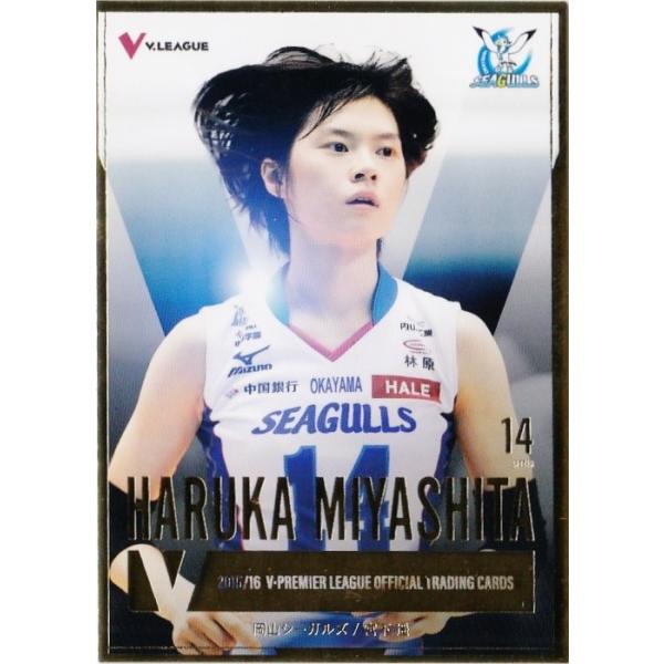 岡山シーガルズ　トレカ　まとめ売り jambalaya_16vlw-sp11