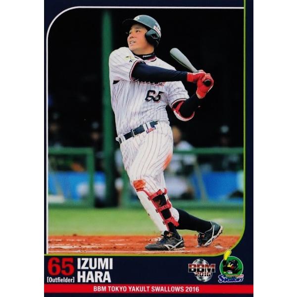 ヤクルトスワローズ 66 【原泉】BBM 東京ヤクルトスワローズ 2016 レギュラー : スポーツ