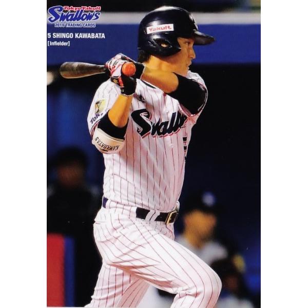 SSK ヤクルトスワローズ　川端慎吾選手　実使用　ウインドブレーカー SSK ヤクルトスワローズ 川端慎吾選手 実使用 ウインド