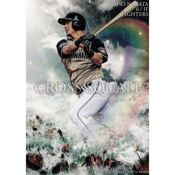 CS02 yc/kC{nt@C^[Yz2017BBMx[X{[J[h 1 M[ qCROSS SQUALLr