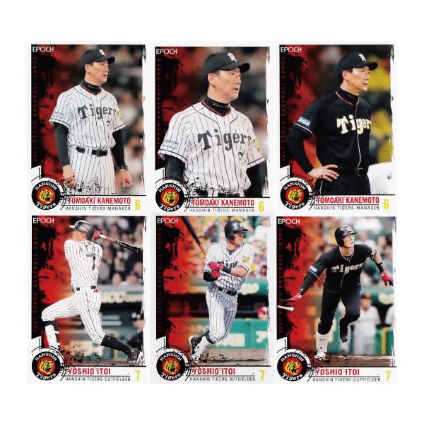 yM[+oG[VRv[gZbgzG|bN2017 _^CK[X S90(M[36A136A218)+v1t