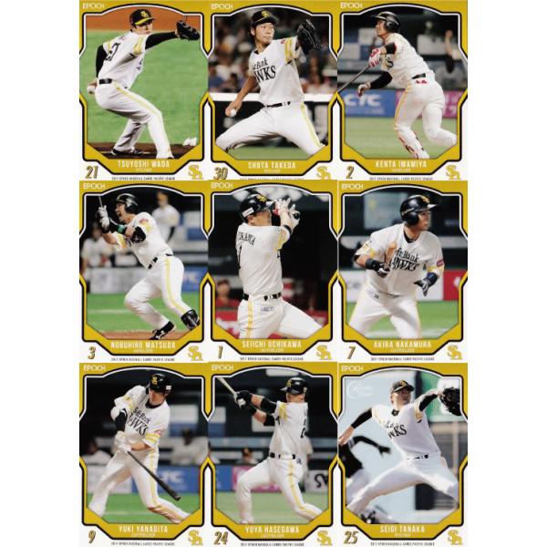 y\tgoNz[NXzG|bN2017 pVtBbNE[O x[X{[J[h [`[ʃM[Rv[gZbg] S9 pł͏