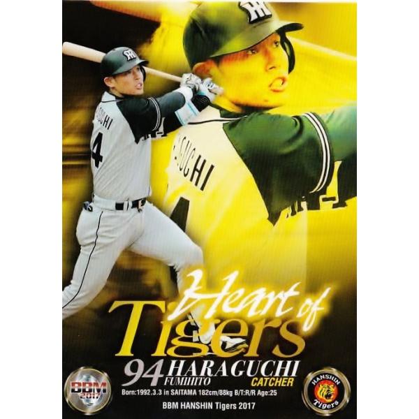 79 ymzBBM _^CK[X 2017 M[ [͑I]