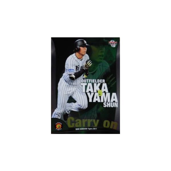 CO3 yRrzBBM _^CK[X 2017 CT[g [Carry on]