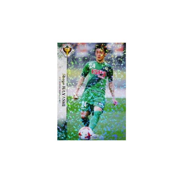 19 yяz[Nus]2017 FfB ItBVJ[h M[p