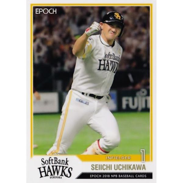 18 y쐹/\tgoNz[NXzG|bN 2018 NPBv싅J[h M[