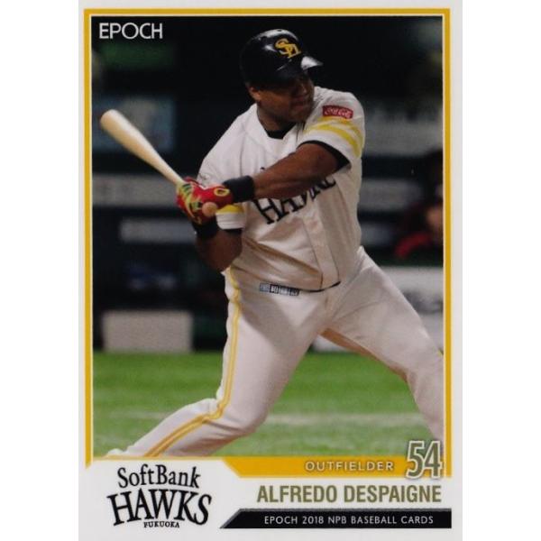 31 yfXpCl/\tgoNz[NXzG|bN 2018 NPBv싅J[h M[