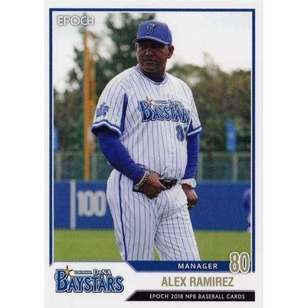 289 yA.~X/lDeNAxCX^[YzG|bN 2018 NPBv싅J[h M[