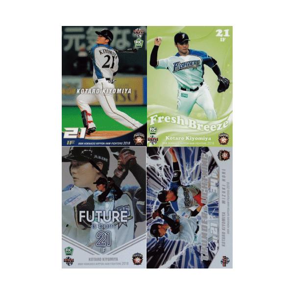 ytRv[gZbg/S99zBBM kC{nt@C^[Y2018 (M[81+CT[g18)