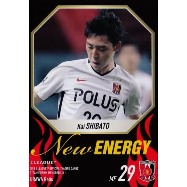 35 �y�ČˊC(ROOKIE)�z2018J���[�O�J�[�h TE�������r���A �Y�a���b�Y ���M�����[ [NEW ENERGY�J�[�h]