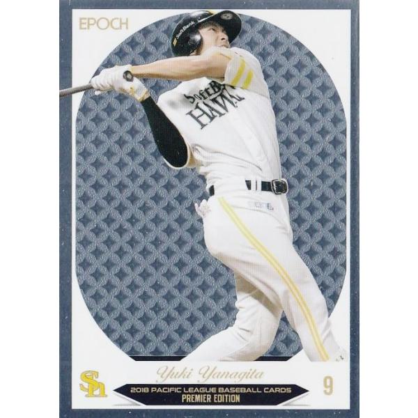 6 ycI/\tgoNz[NXzG|bN2018 pVtBbNE[O v~AGfBV M[