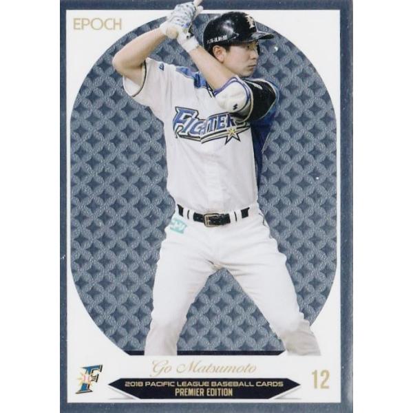 41 y{/kC{nt@C^[YzG|bN2018 pVtBbNE[O v~AGfBV M[