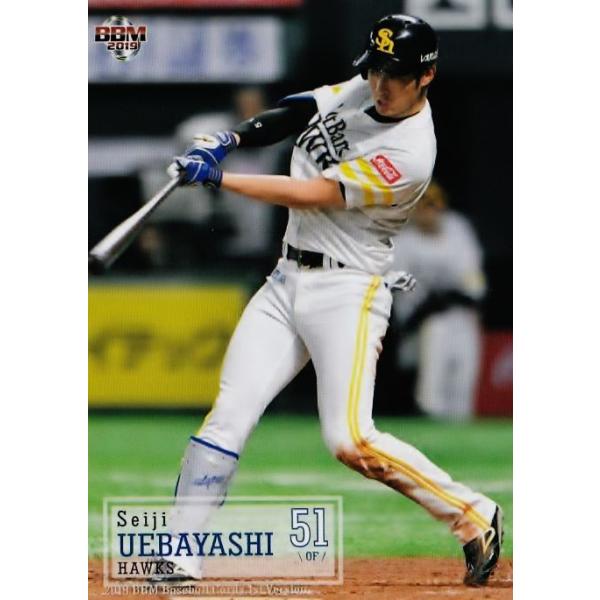 46 yѐm/\tgoNz[NXz2019BBMx[X{[J[h 1 M[