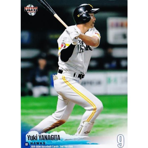 406 ycI/\tgoNz[NXz2019BBMx[X{[J[h 2nd M[