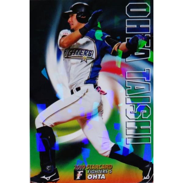 S-29 yc׎/kC{nt@C^[YzJr[ 2019v싅`bvX2e CT[g [X^[J[h]