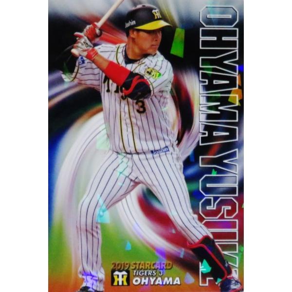 S-47 yRI/_^CK[XzJr[ 2019v싅`bvX2e CT[g [X^[J[h]