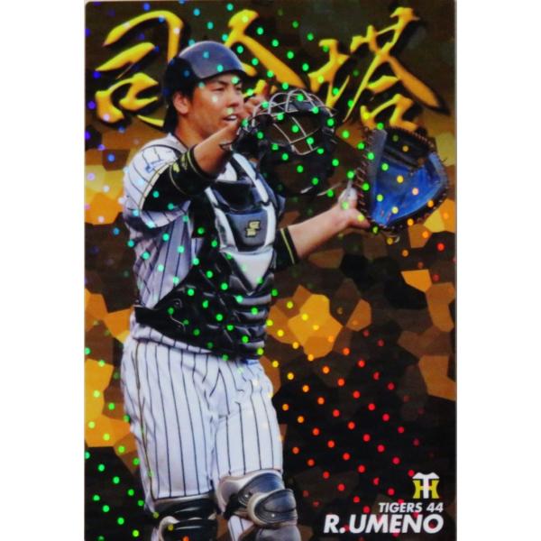 CA-12y~엲Y/_^CK[XzJr[ 2019v싅`bvX3e XyVBOX [iߓJ[h]