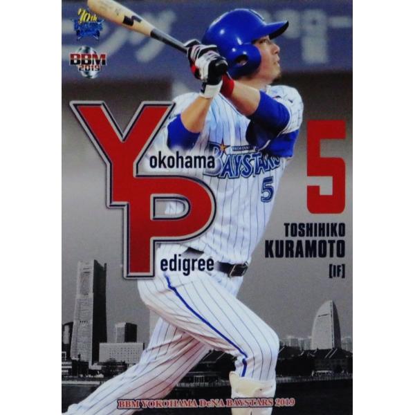 YP1 yq{FzBBM lDeNAxCX^[Y 2019 CT[g [Yokohama Pedigree]