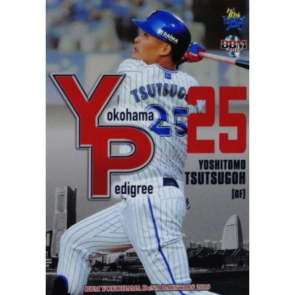 YP3 yÒqzBBM lDeNAxCX^[Y 2019 CT[g [Yokohama Pedigree]