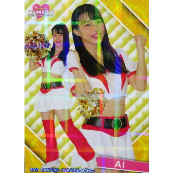 18 yAI (\tgoN/Honeys)zBBM v싅`A[_[J[h2019 -- M[zp