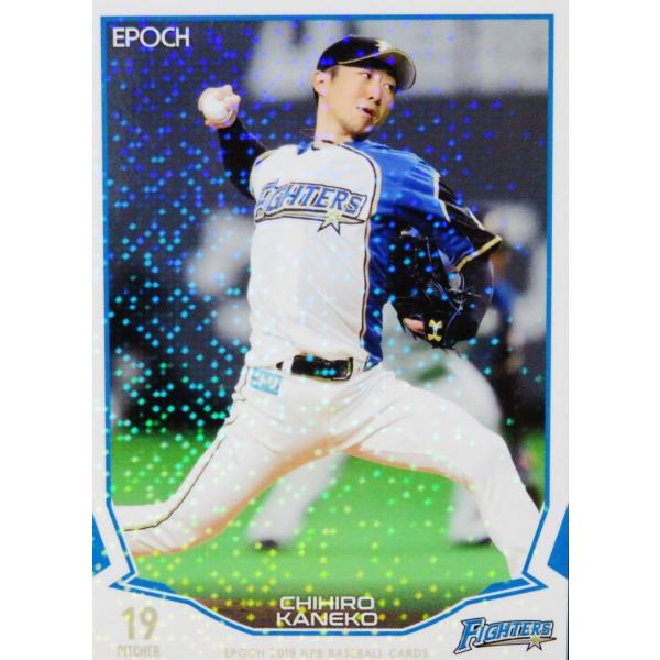 77 yq/kC{nt@C^[YzG|bN 2019 NPBv싅J[h [M[/zp]