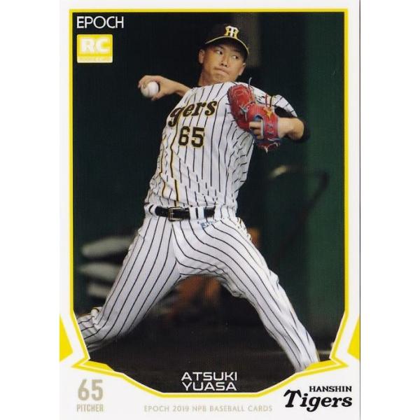 432 y󋞌(ROOKIE)/_^CK[XzG|bN 2019 NPBv싅J[h M[