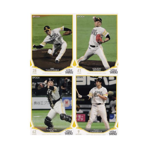 y\tgoNz[NXzG|bN 2019 NPBv싅J[h [`[ʃM[Rv[gZbg] S36