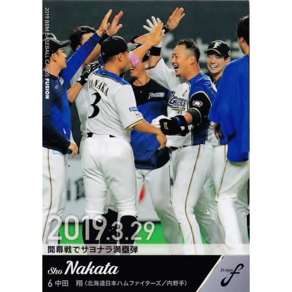 3 yc/kC{nt@C^[Yz2019BBM FUSION [M[/ʐ^Ⴂp]