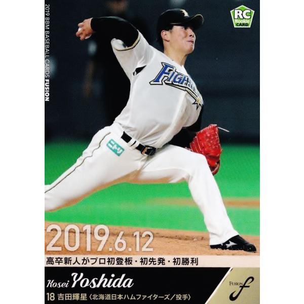 47 ygcP(ROOKIE)/kC{nt@C^[Yz2019BBM FUSION M[ [L^̓a]