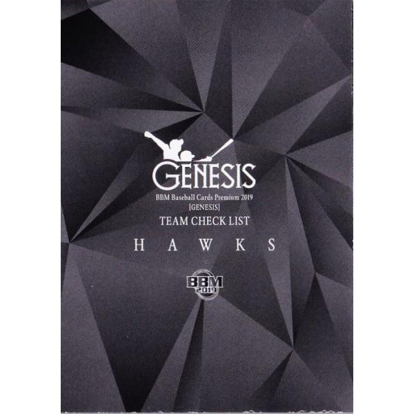 CL02 y\tgoNz[NXzBBM2019 GENESIS WFlVX M[ [`[`FbNXg]