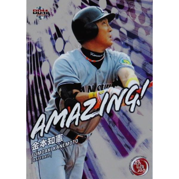 A11 y{m/_^CK[XzBBM2019 X|[cg[fBOJ[huv CT[g [AMAZINGI]