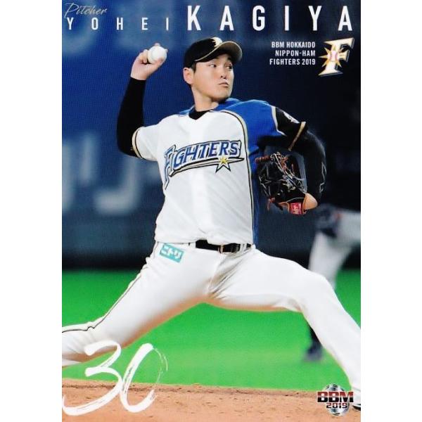 15 yJzzBBM kC{nt@C^[Y 2019 M[