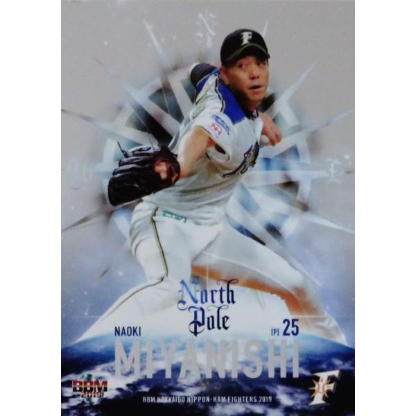 NP2 y{zBBM kC{nt@C^[Y 2019 CT[g [North Pole]