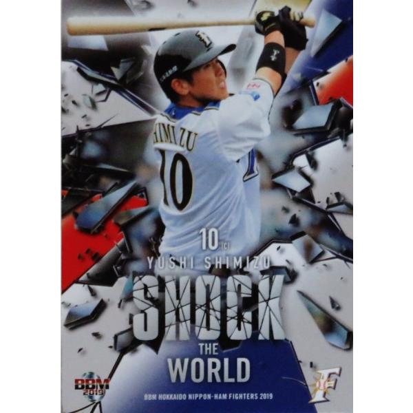 SW2 yDSzBBM kC{nt@C^[Y 2019 CT[g [Shock The World]