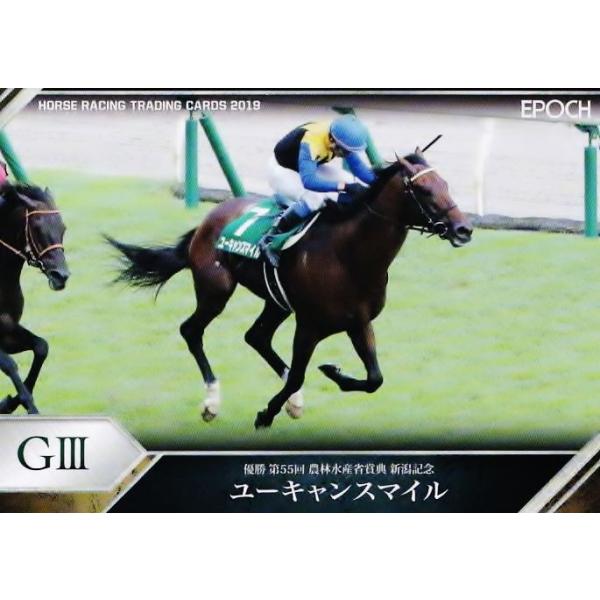 88 y[LX}CzG|bN z[X[VOJ[h2019 Vol.2 M[ [2019N㔼dܗDn/VLO]