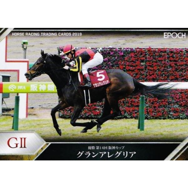 134 yOAOAzG|bN z[X[VOJ[h2019 Vol.2 M[ [2019N㔼dܗDn/_C]