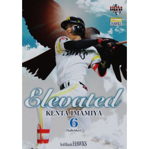 EL7 y{zBBM \tgoNz[NX 2019 CT[g [Elevated]