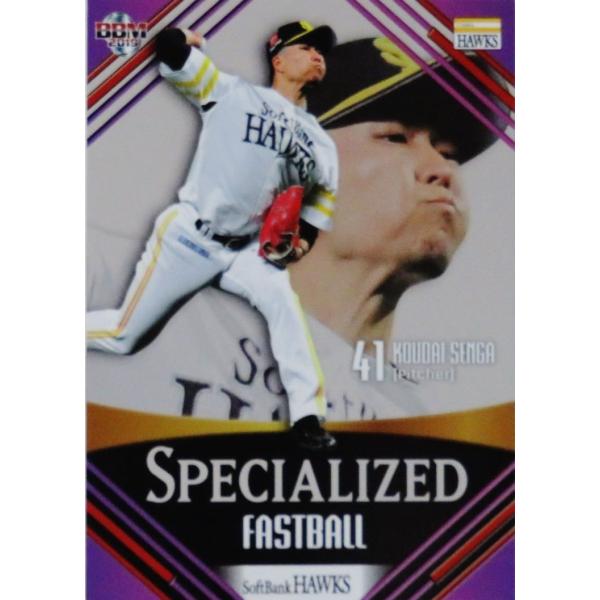 SP2 �y�����zBBM �����\�t�g�o���N�z�[�N�X 2019 �C���T�[�g [Specialized]