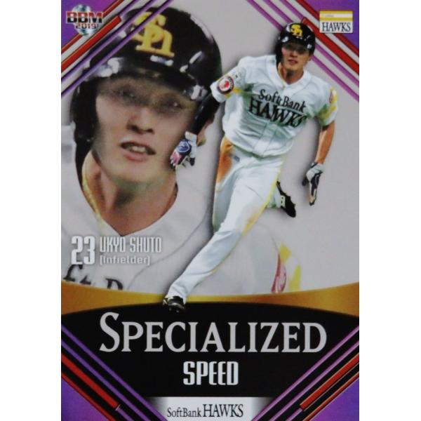 SP5 �y�����C���zBBM �����\�t�g�o���N�z�[�N�X 2019 �C���T�[�g [Specialized]