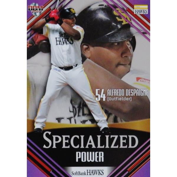 SP6 yA.fXpClzBBM \tgoNz[NX 2019 CT[g [Specialized]