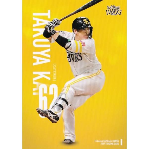 80 ybz2019 \tgoNz[NX [Yh{[V[Y M[