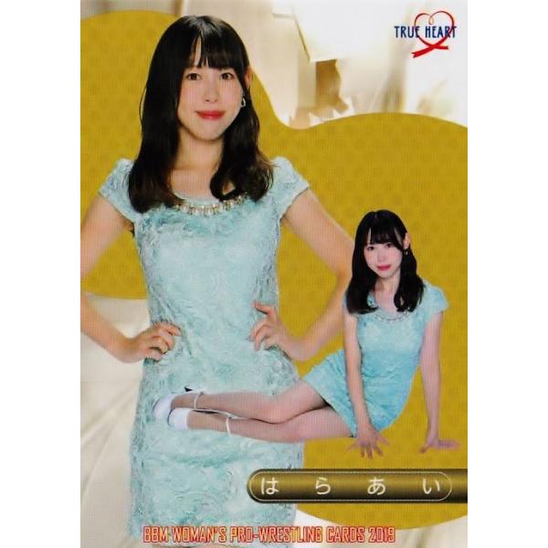 160 y͂炠zBBM qvXJ[h2019 TRUE HEART M[ [OAiET[]