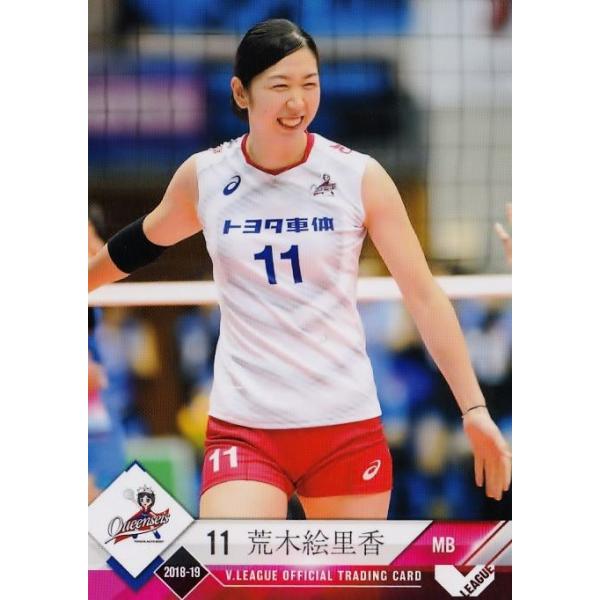 10 yr؊G/g^ԑ̃NCV[Yz2018-19uEv~A[Oqg[fBOJ[h M[