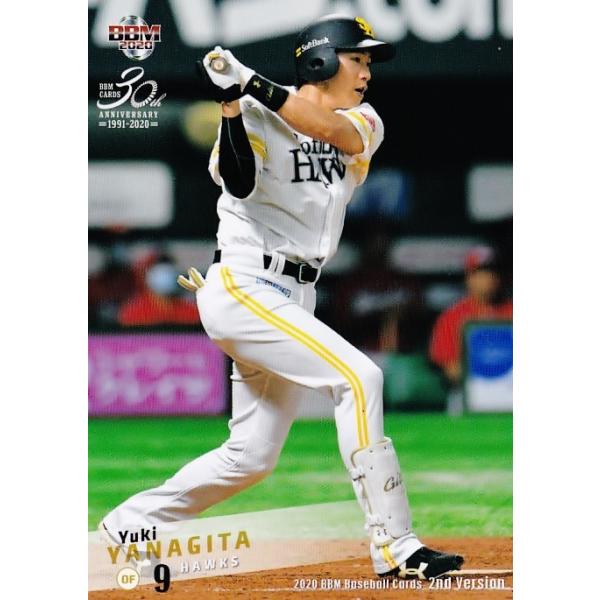 401 ycI/\tgoNz[NXz2020BBMx[X{[J[h 2nd M[