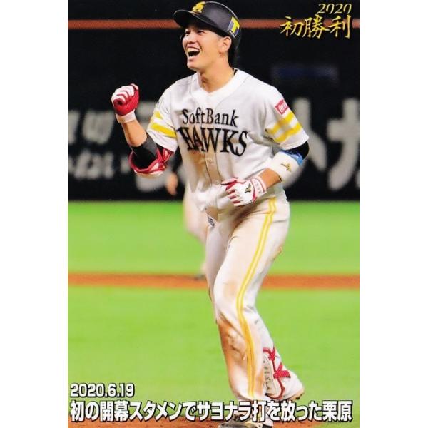 FW-02yI˖/\tgoNz[NXzJr[ 2020v싅`bvX3e M[ [GJ[h]