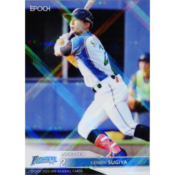 162 yJm/kC{nt@C^[YzG|bN 2020 NPBv싅J[h M[p