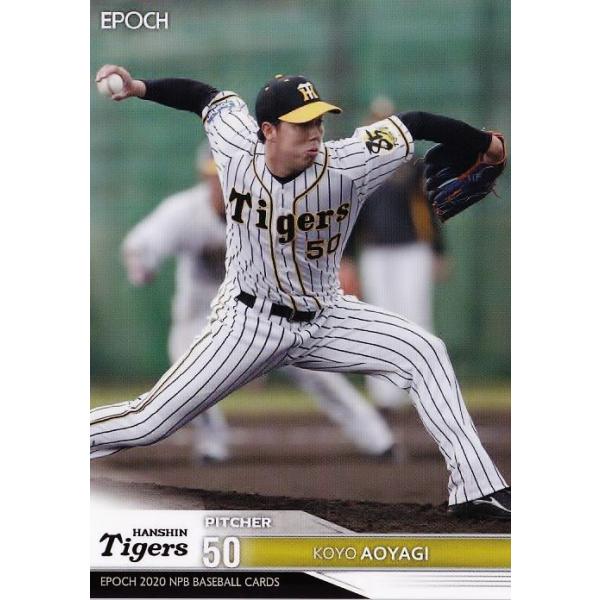 301 yWm/_^CK[XzG|bN 2020 NPBv싅J[h M[