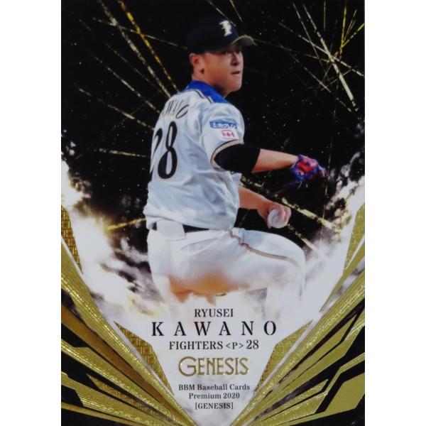 38 y͖엳(ROOKIE)/kC{nt@C^[YzBBM2020 GENESIS WFlVX M[