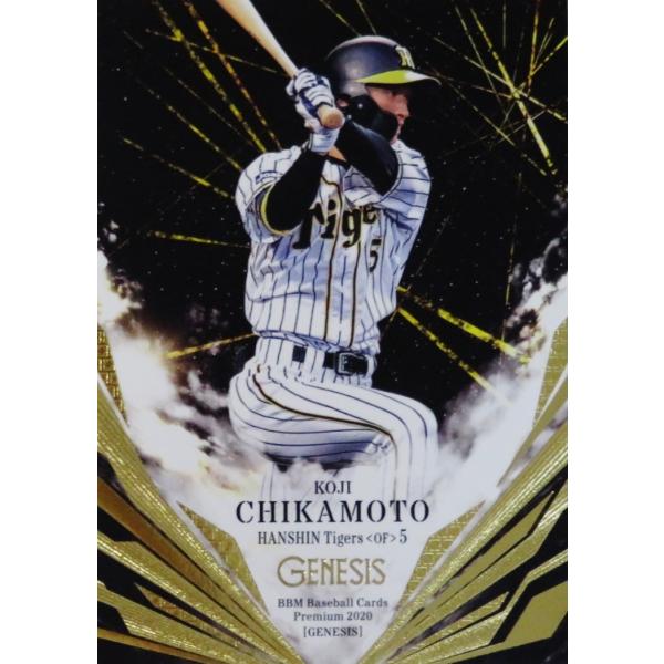 79 yߖ{i/_^CK[XzBBM2020 GENESIS WFlVX M[