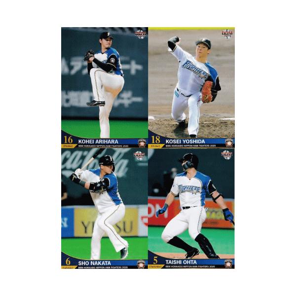 yM[Rv[gZbg/S81zBBM kC{nt@C^[Y 2020